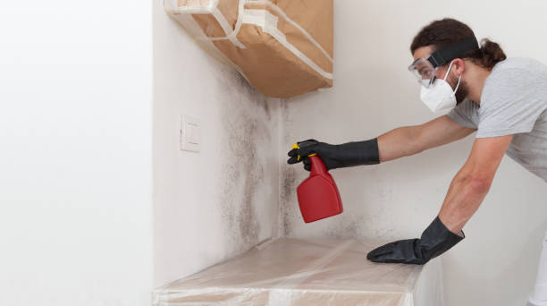 Professional Basement Mold Remediation technician working in Red Lion, PA