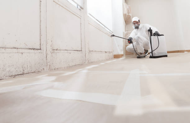 24/7 Emergency Basement Mold Remediation experts in Red Lion, PA