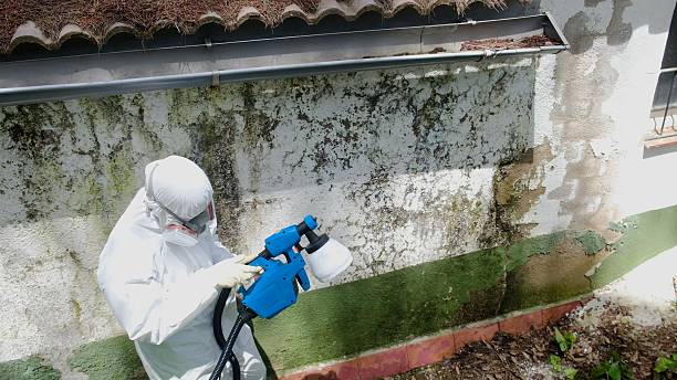 Top rated local Basement Mold Remediation specialists in Red Lion, PA